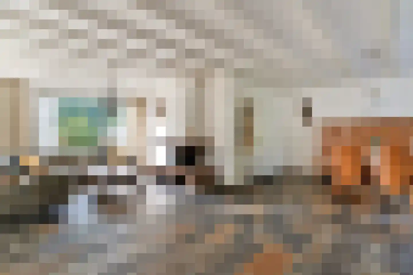 van Galenstraat 23 Bergeijk thumbnail 9