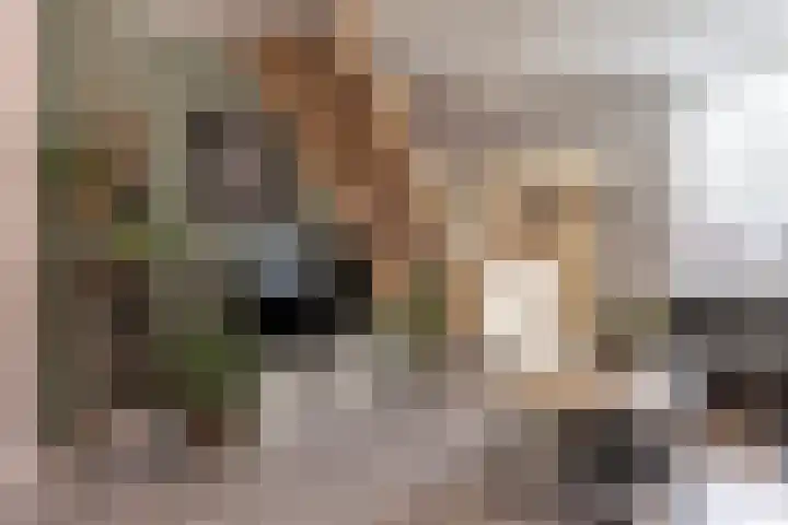 Van Galenstraat 25 Den Helder thumbnail 8