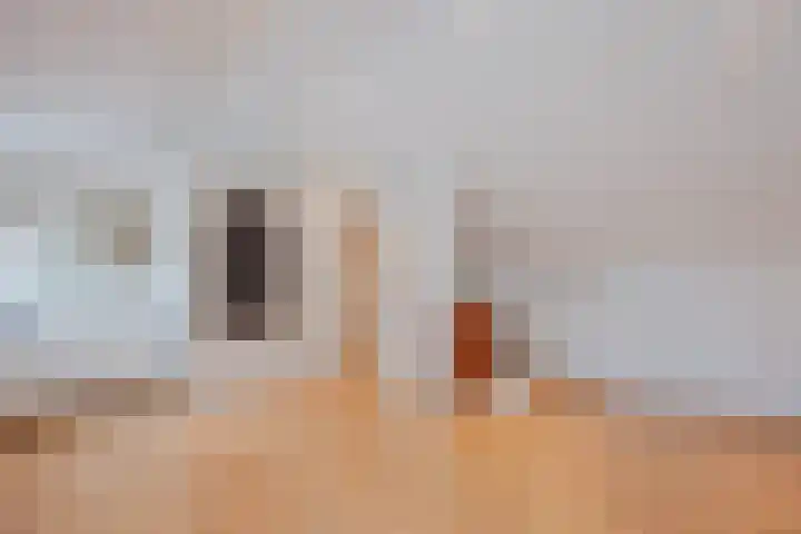 van Galenstraat 25 Geertruidenberg thumbnail 31