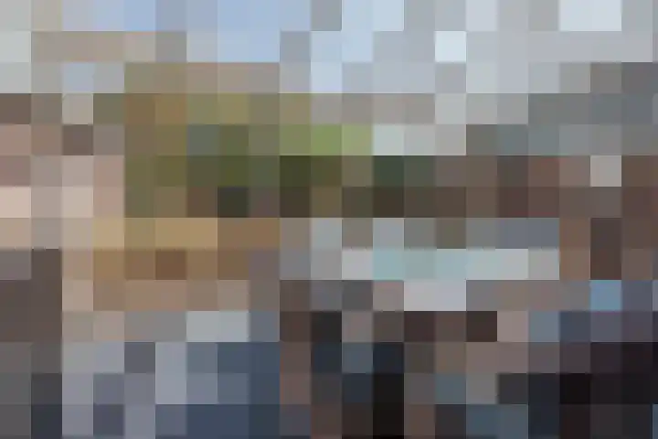 van Galenstraat 25 Geertruidenberg thumbnail 4