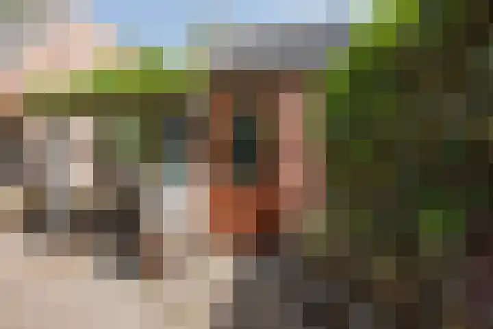 van Galenstraat 25 Geertruidenberg thumbnail 40