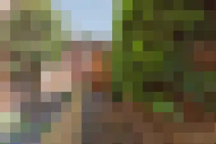 van Galenstraat 25 Geertruidenberg thumbnail 43
