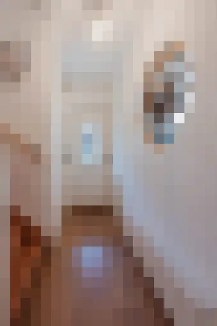 van Galenstraat 25 Geertruidenberg thumbnail 8