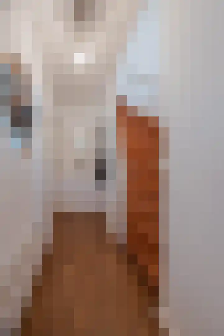 van Galenstraat 25 Geertruidenberg thumbnail 9