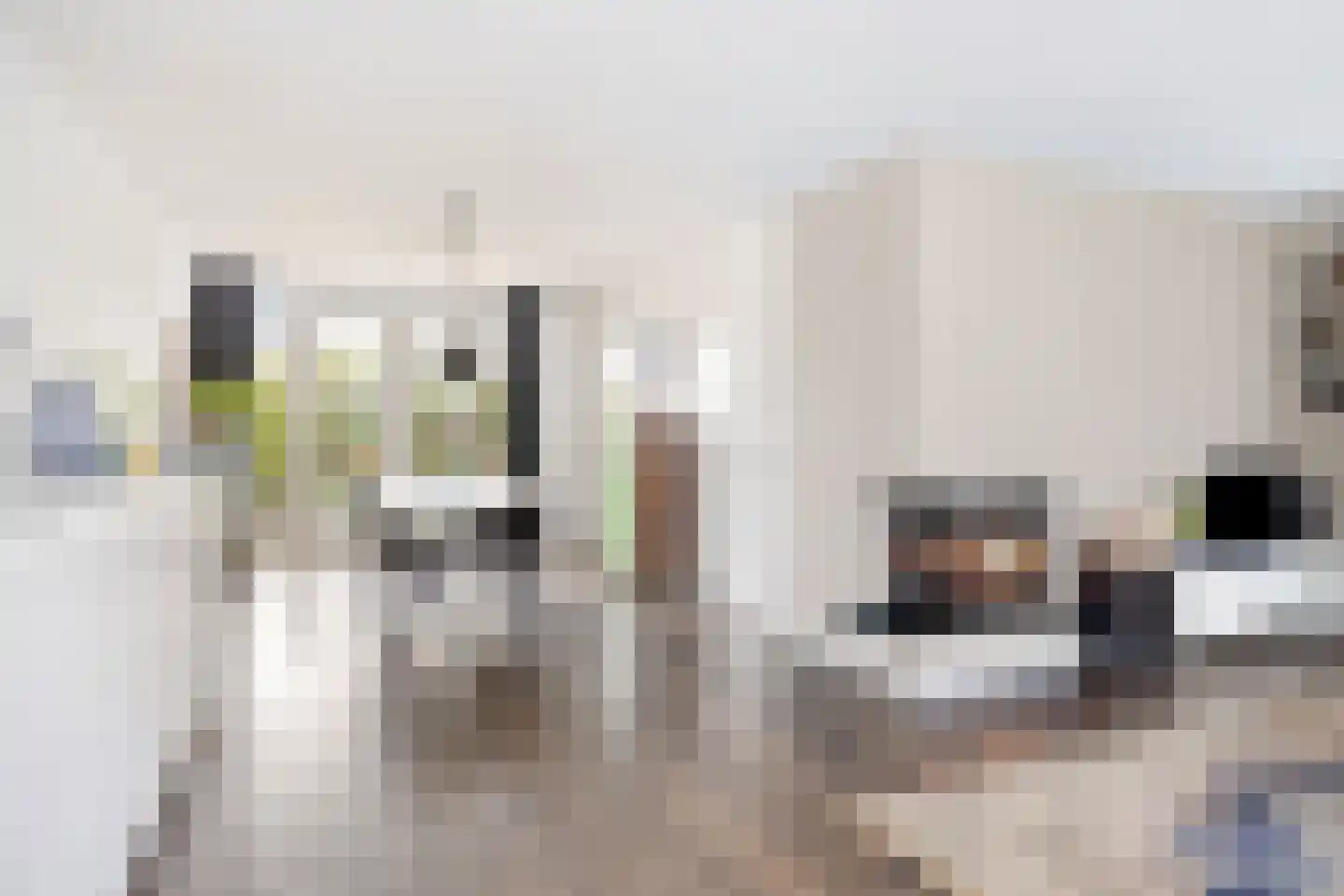 van Galenstraat 26 Bergeijk thumbnail 11
