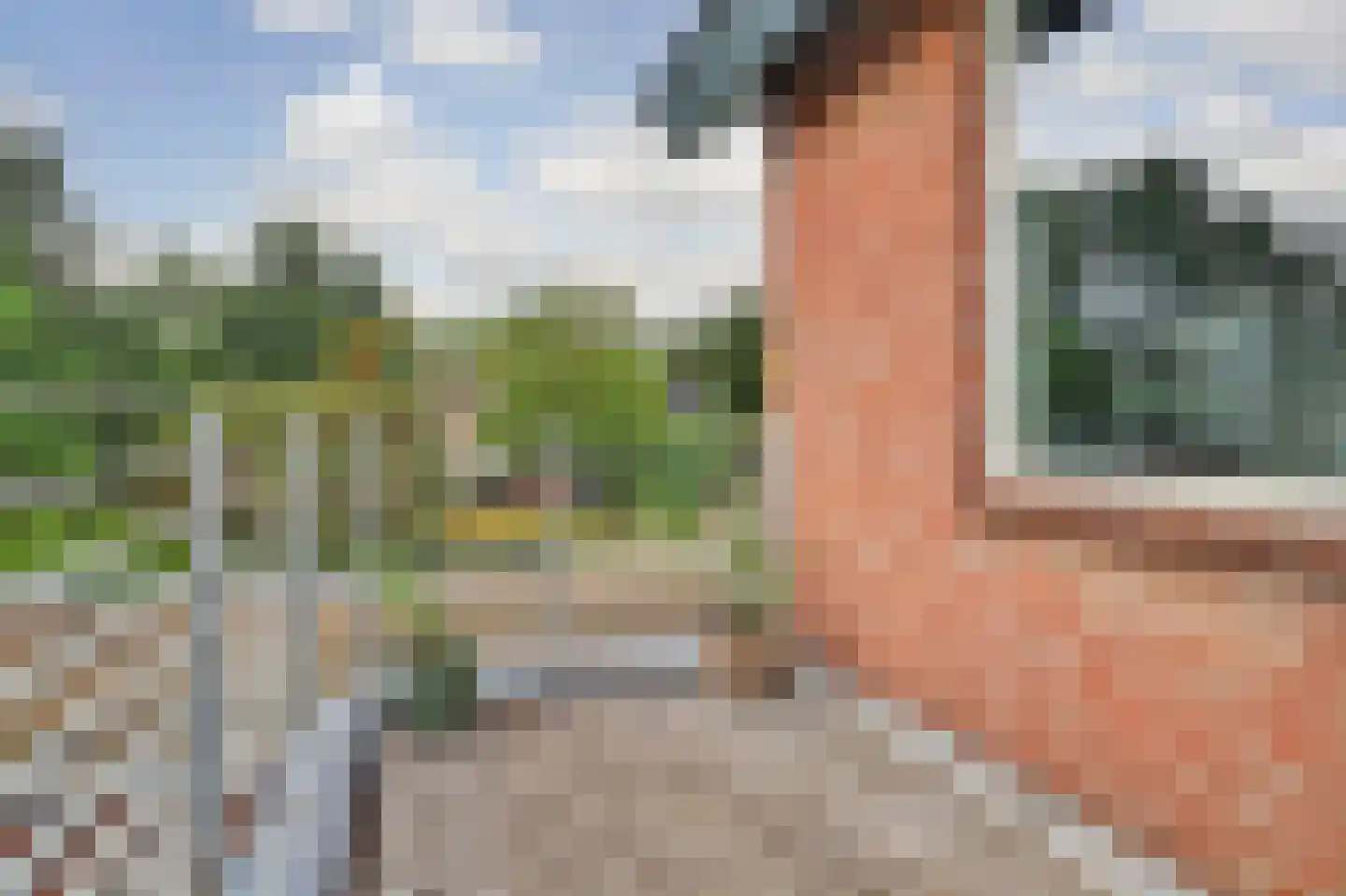 van Galenstraat 26 Bergeijk thumbnail 33
