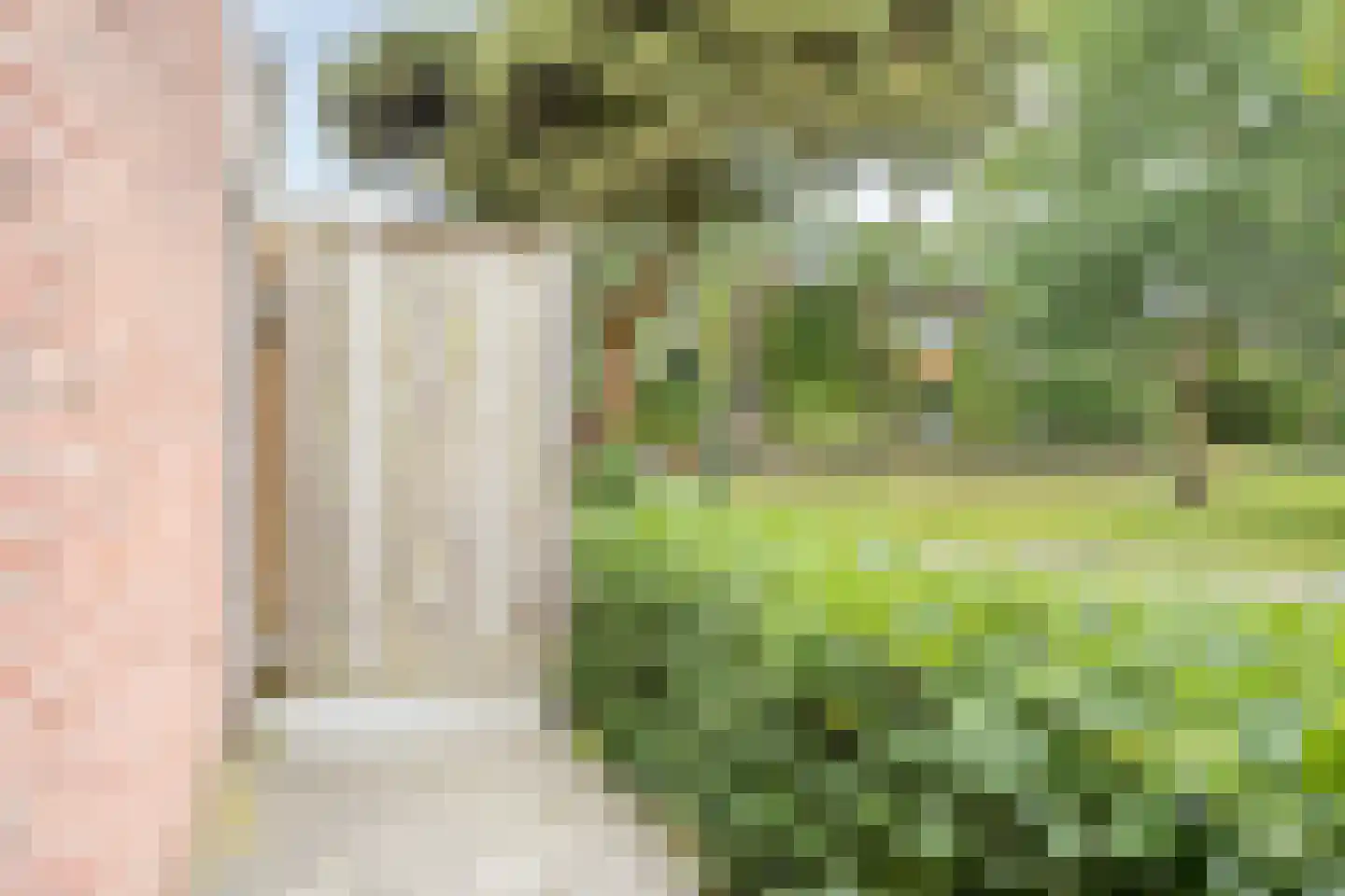 van Galenstraat 26 Bergeijk thumbnail 39