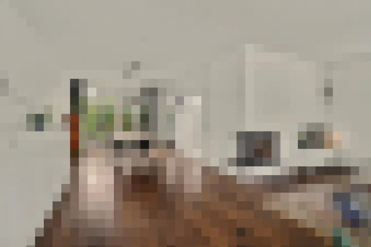 van Galenstraat 26 Bergeijk thumbnail 4