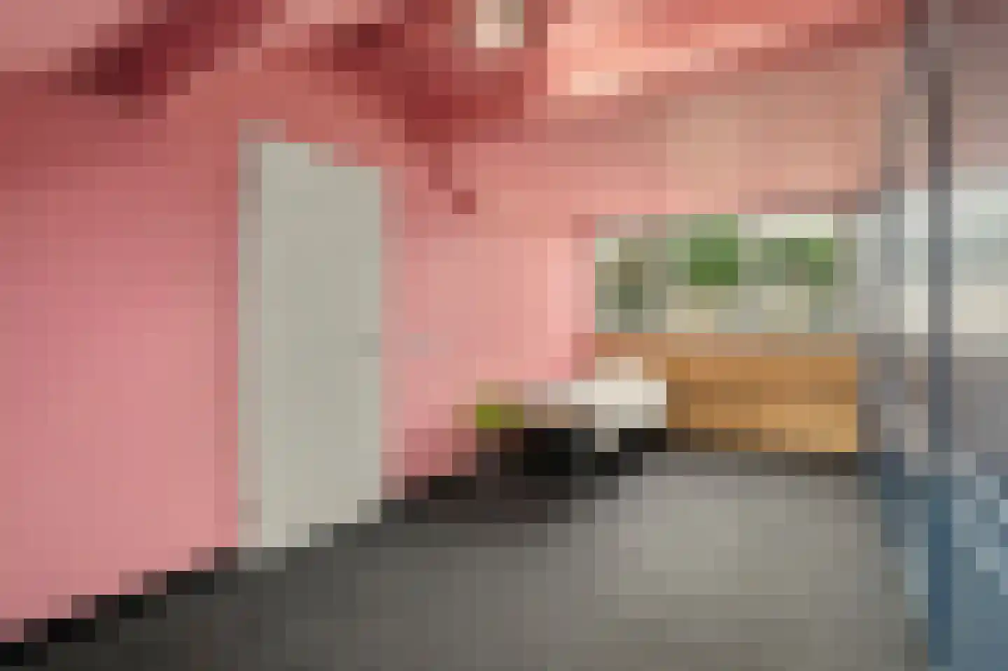van Galenstraat 26 Bergeijk thumbnail 41