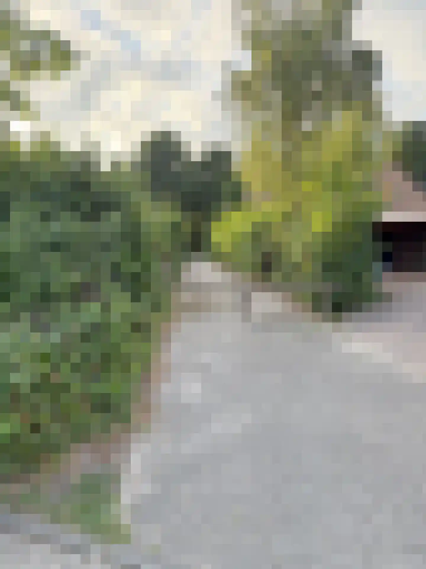 van Galenstraat 26 Bergeijk thumbnail 49
