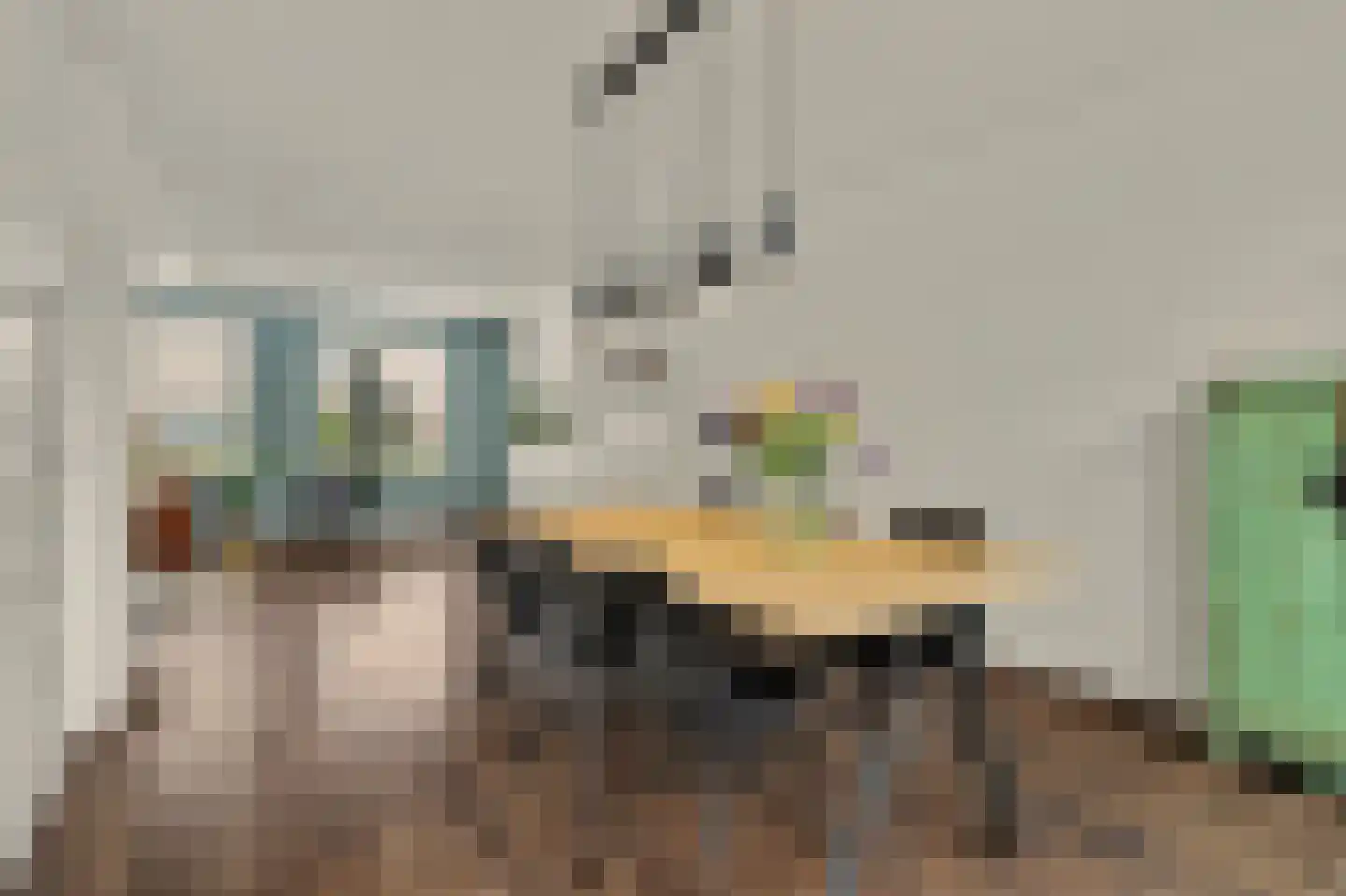van Galenstraat 26 Bergeijk thumbnail 7