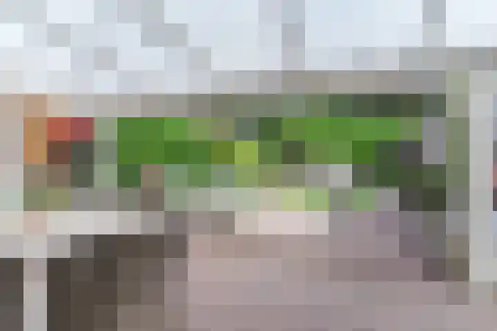 van Galenstraat 27 Bergeijk thumbnail 35