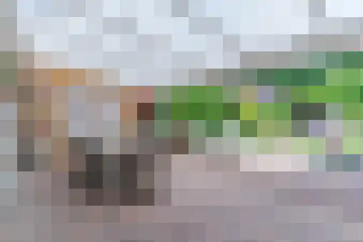 van Galenstraat 27 Bergeijk thumbnail 37
