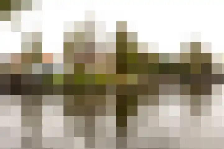 Van Galenstraat 3 Leiden thumbnail 31