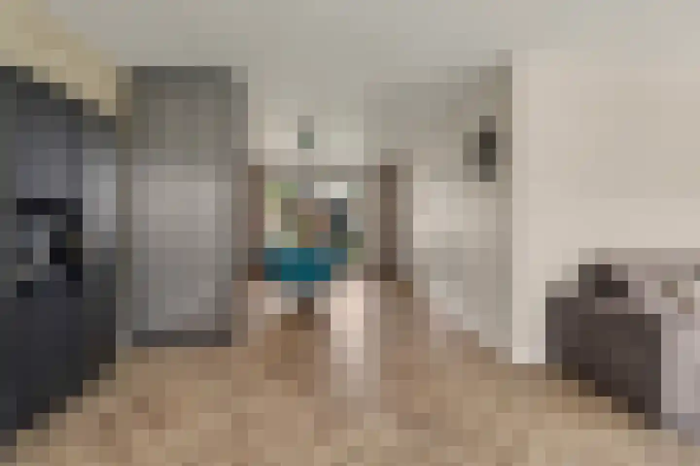 van Galenstraat 30 Bergeijk thumbnail 5