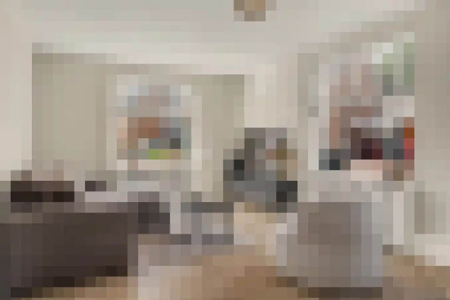 van Galenstraat 30 Bergeijk thumbnail 8