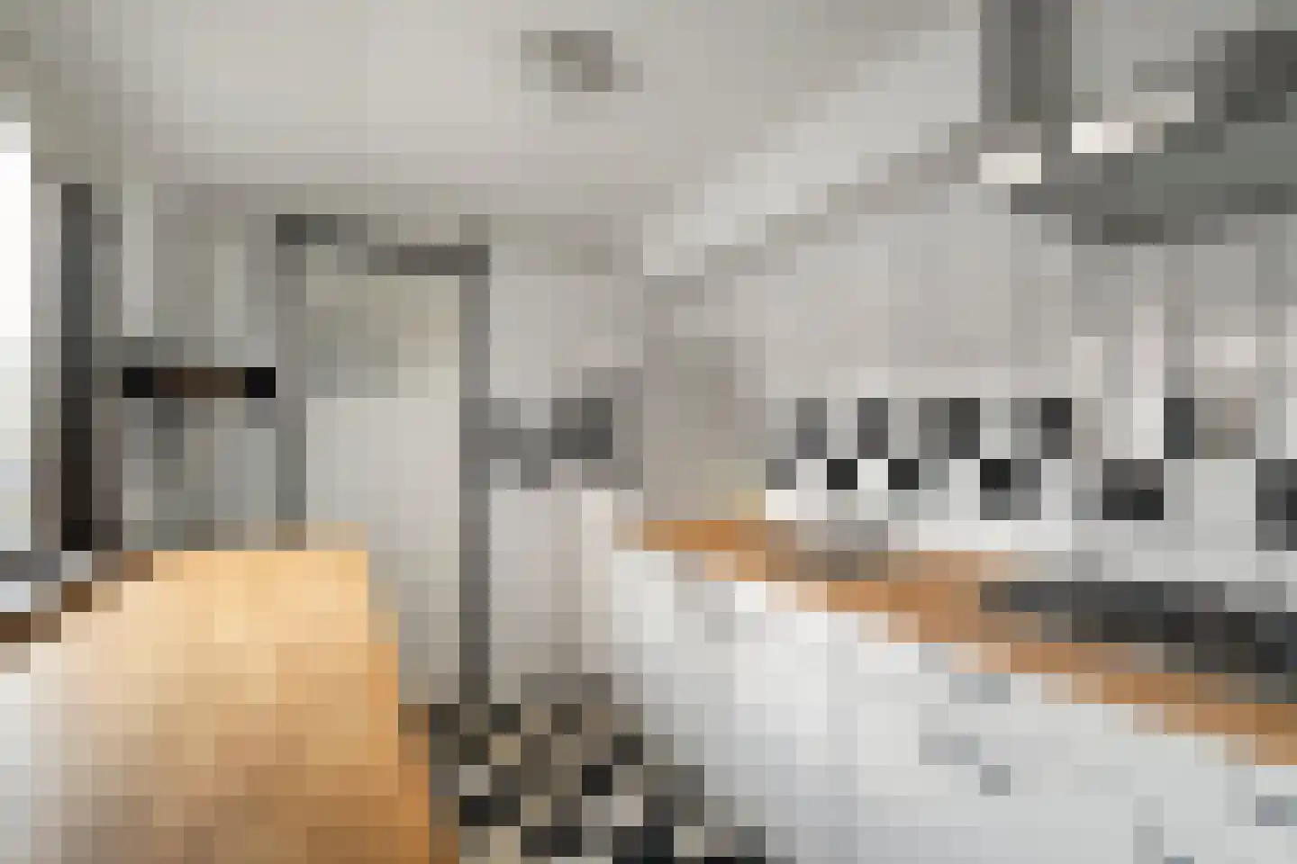 Van Galenstraat 37 Den Helder thumbnail 6