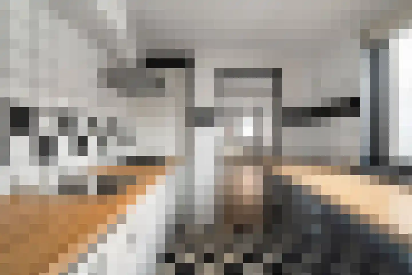 Van Galenstraat 37 Den Helder thumbnail 6