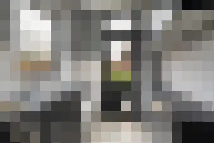 van Galenstraat 4 Heinenoord thumbnail 12