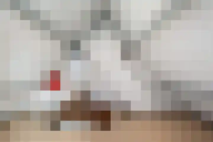 van Galenstraat 4 Heinenoord thumbnail 23