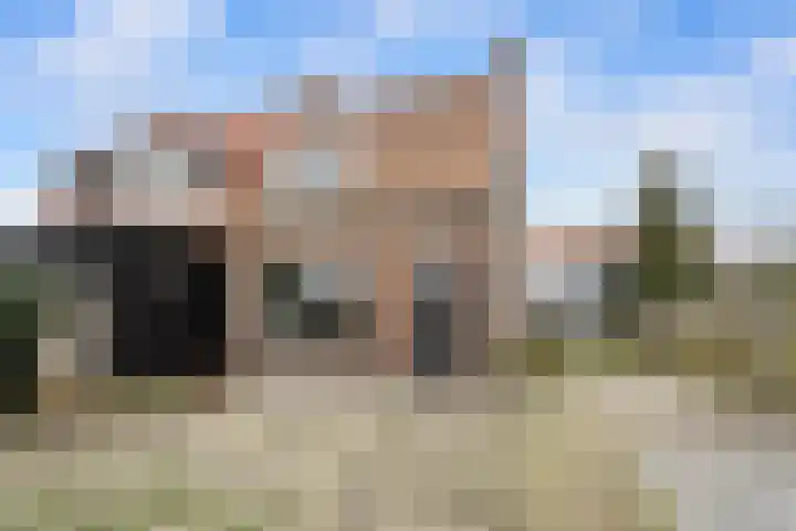 van Galenstraat 4 Heinenoord thumbnail 4