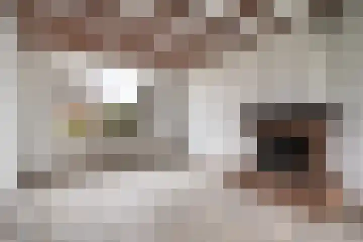 van Galenstraat 4 Heinenoord thumbnail 8