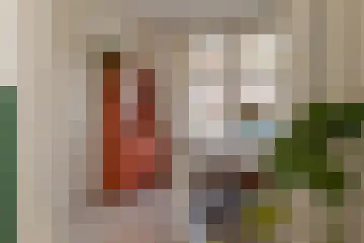 Van Galenstraat 49 Zwolle thumbnail 32