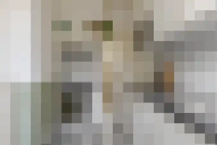 Van Galenstraat 49 Zwolle thumbnail 4