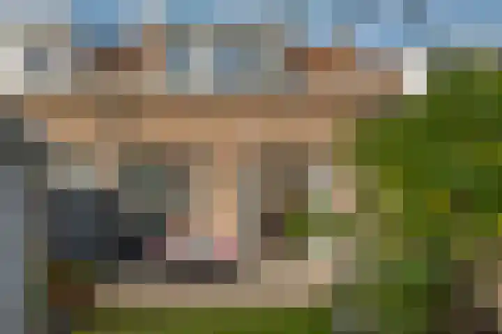 Van Galenstraat 49 Zwolle thumbnail 5