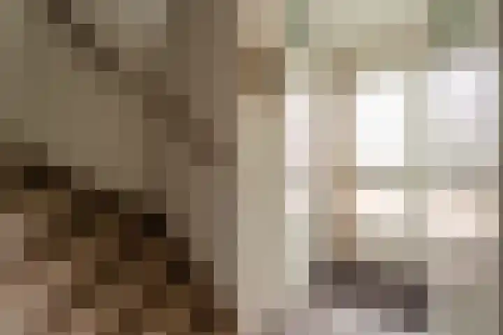 van Galenstraat 5 Rijnsburg thumbnail 12