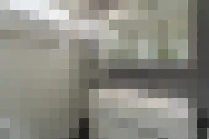 van Galenstraat 5 Rijnsburg thumbnail 18
