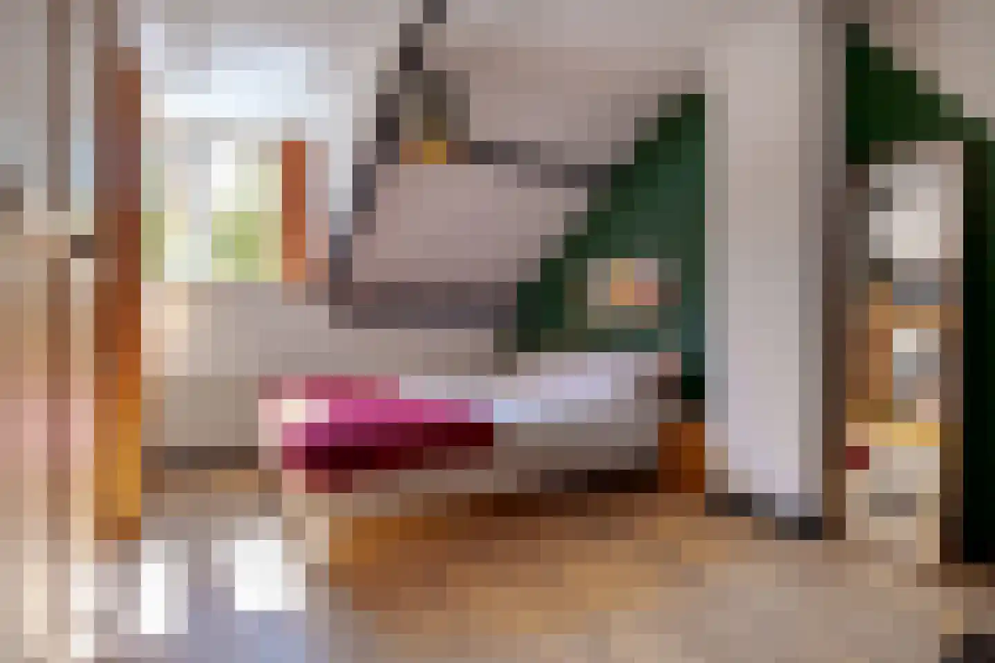 Van Galenstraat 51 Zwolle thumbnail 34