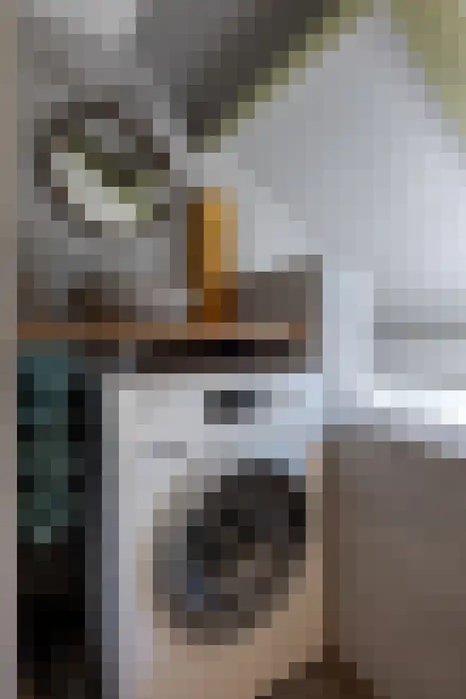 Van Galenstraat 51 Zwolle thumbnail 39