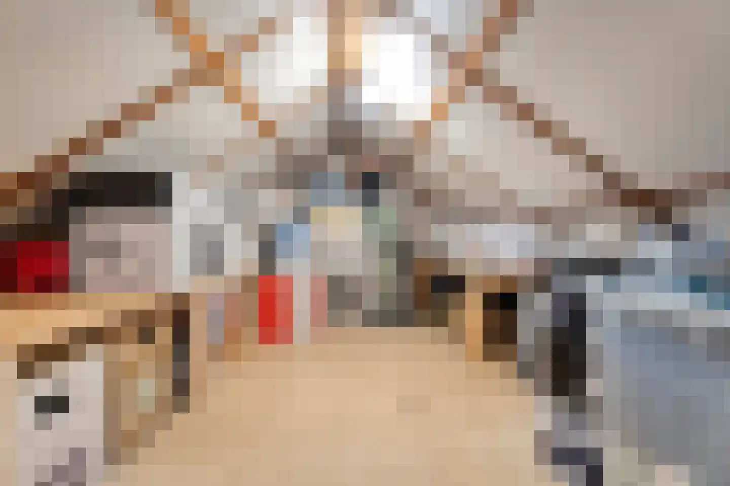 Van Galenstraat 52 Zwolle thumbnail 24