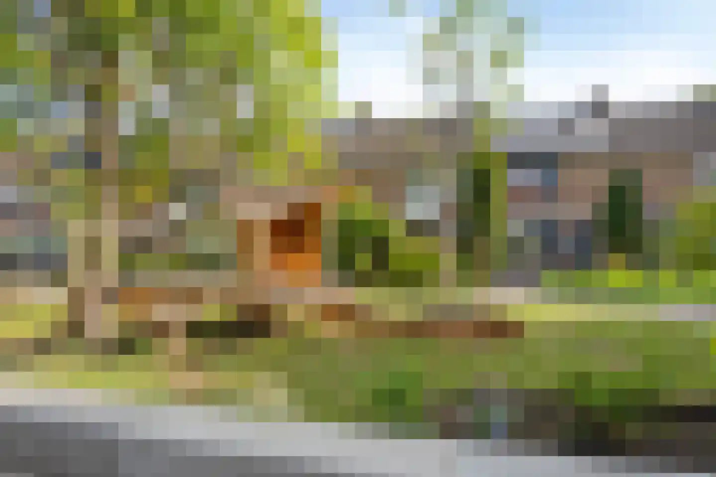 Van Galenstraat 54 Arnhem thumbnail 27