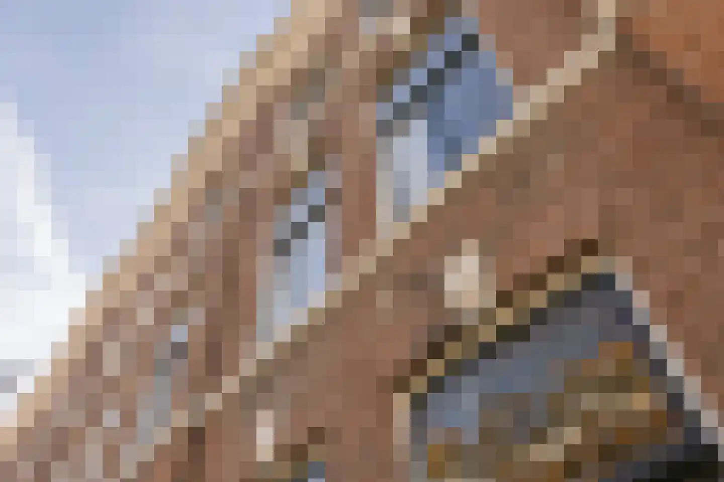 Van Galenstraat 54 Den Haag thumbnail 54