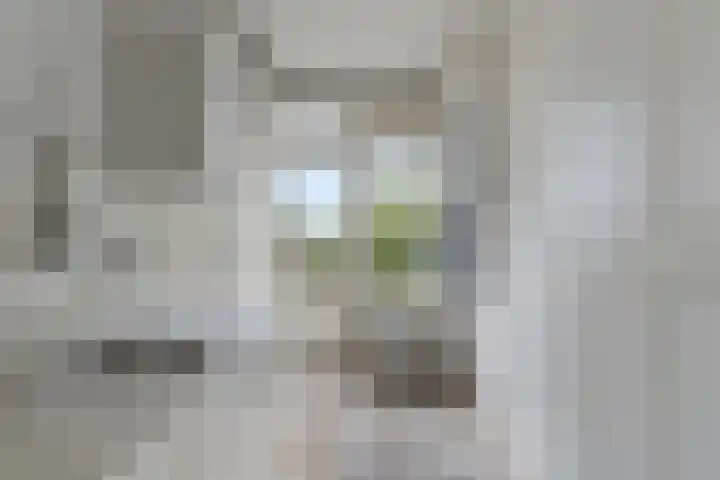 Van Galenstraat 55 3 Arnhem thumbnail 15