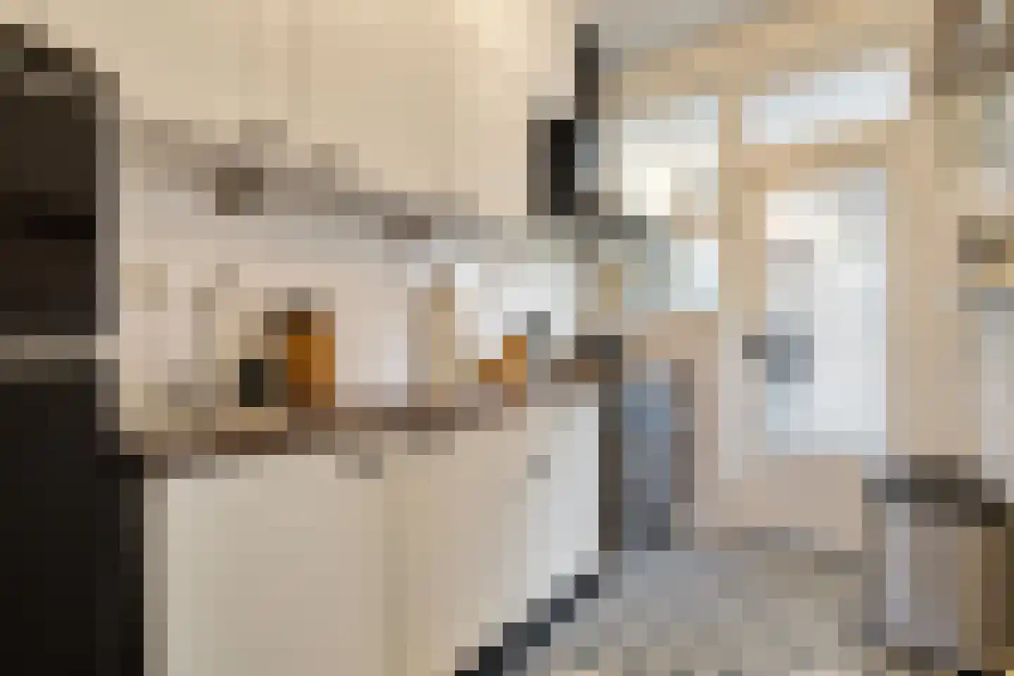 Van Galenstraat 56 Zwolle thumbnail 10