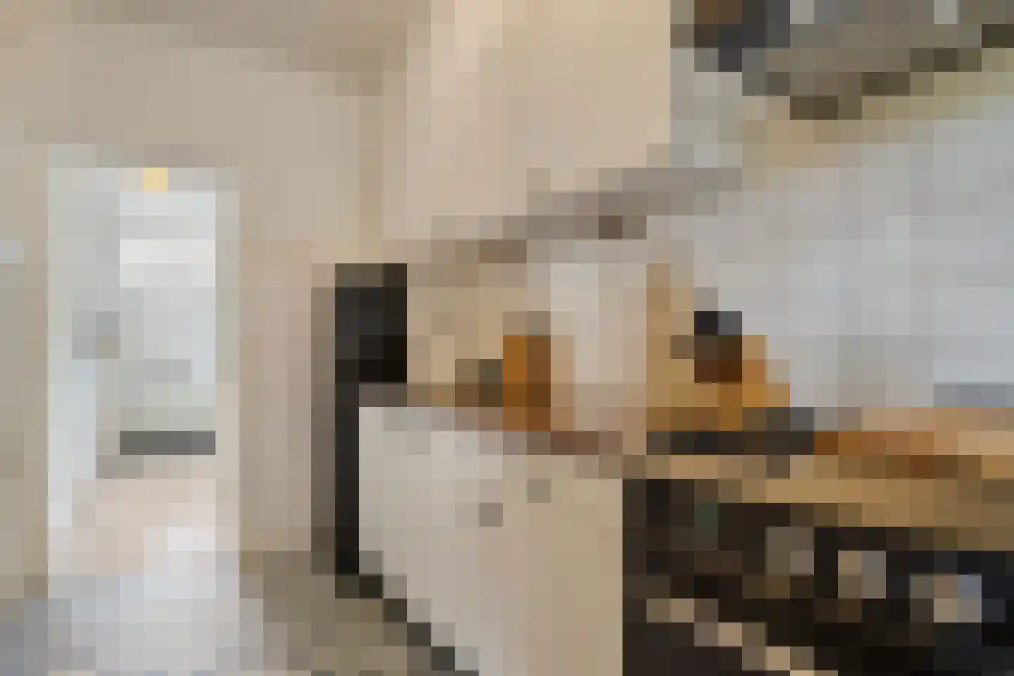 Van Galenstraat 56 Zwolle thumbnail 11