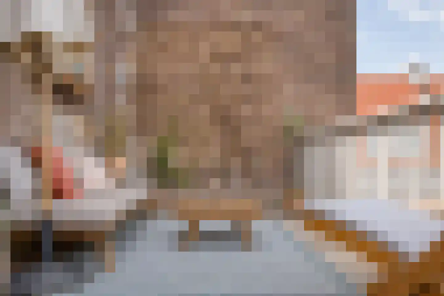 Van Galenstraat 56 Zwolle thumbnail 26