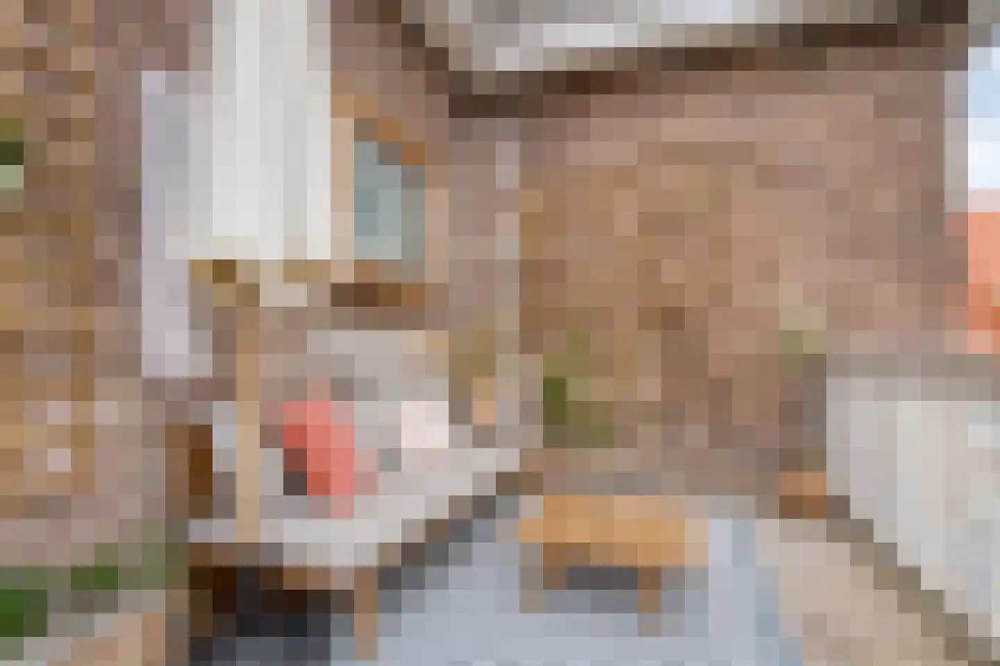 Van Galenstraat 56 Zwolle thumbnail 27