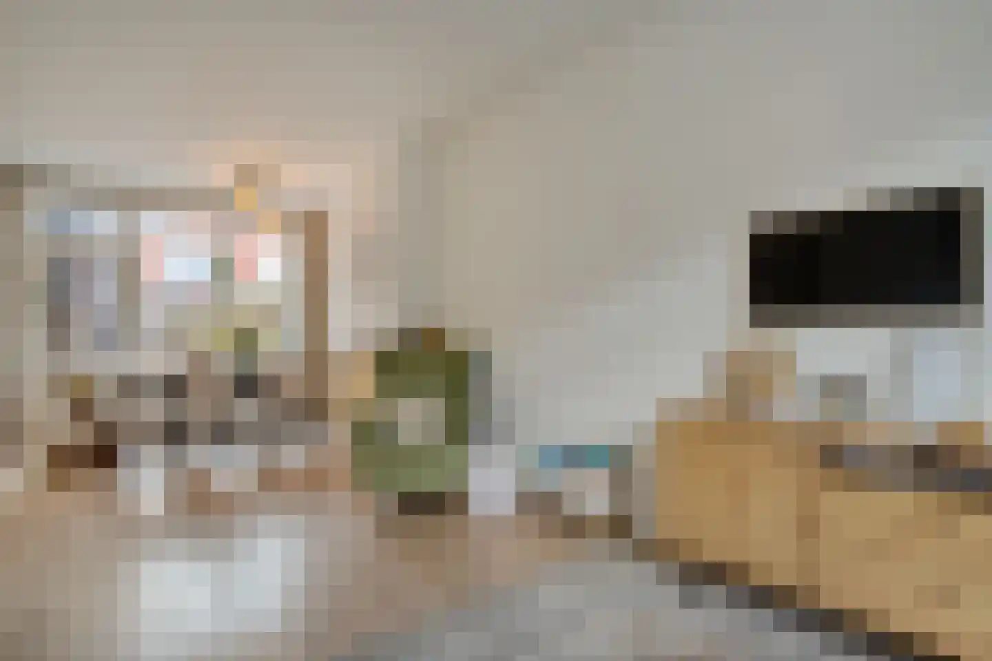 Van Galenstraat 56 Zwolle thumbnail 5