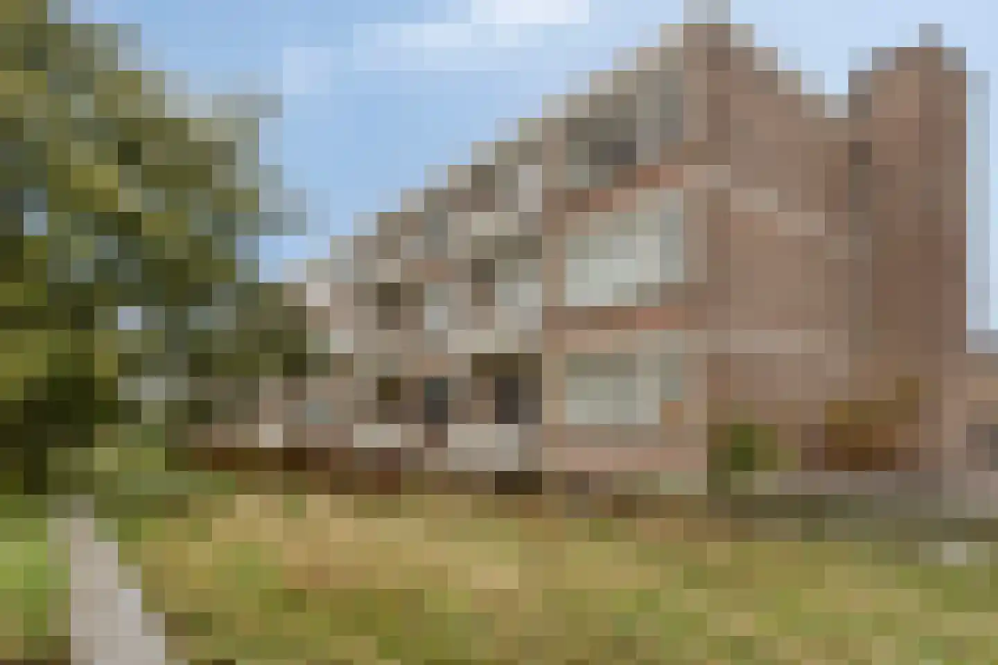 Van Galenstraat 57 1 Arnhem thumbnail 24