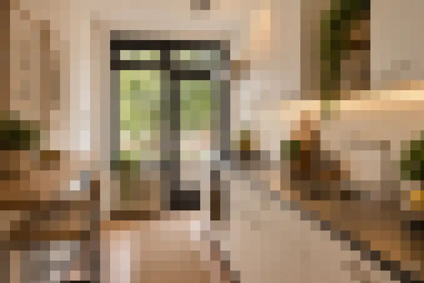 Van Galenstraat 57 1 Arnhem thumbnail 4