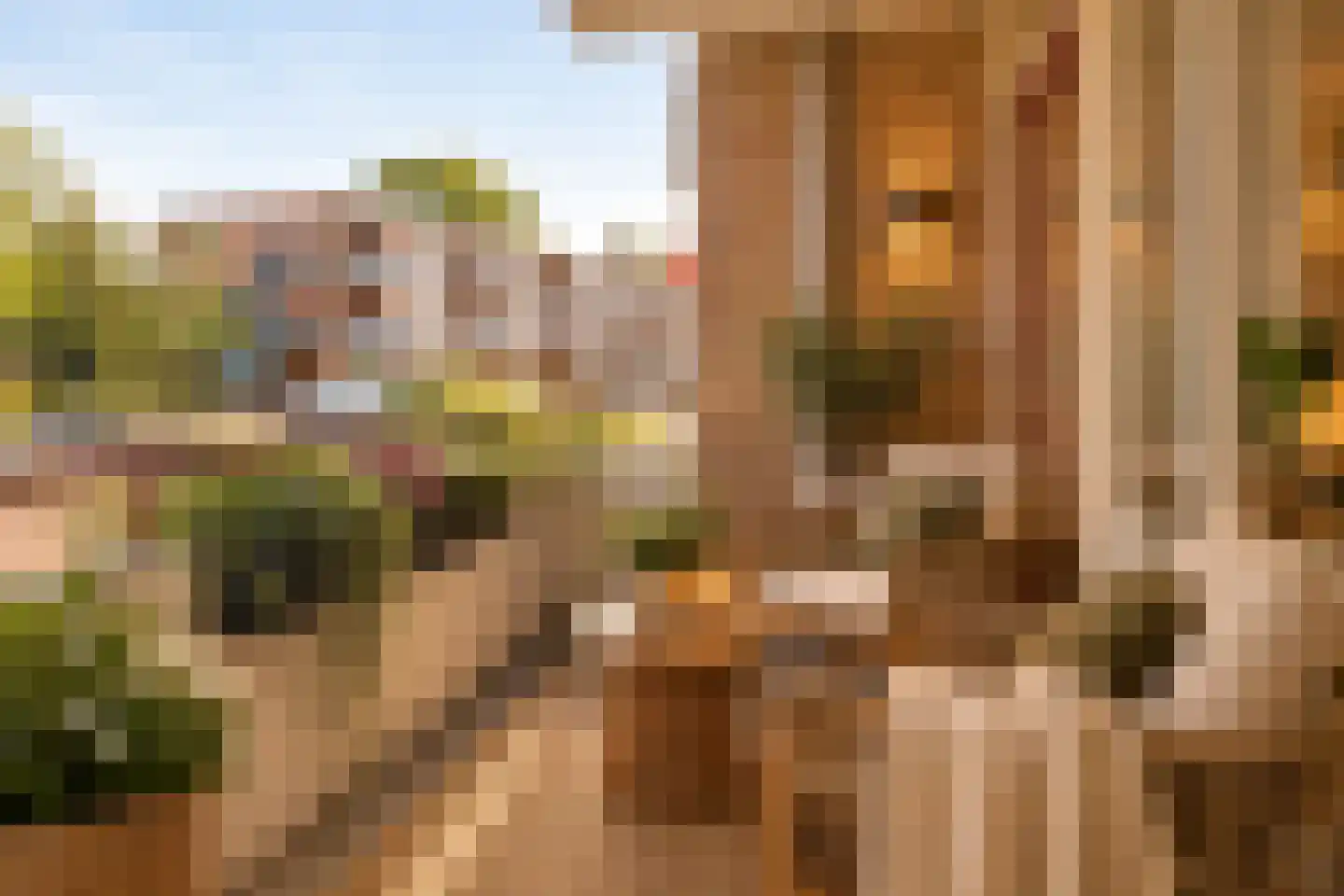 Van Galenstraat 57 1 Arnhem thumbnail 6