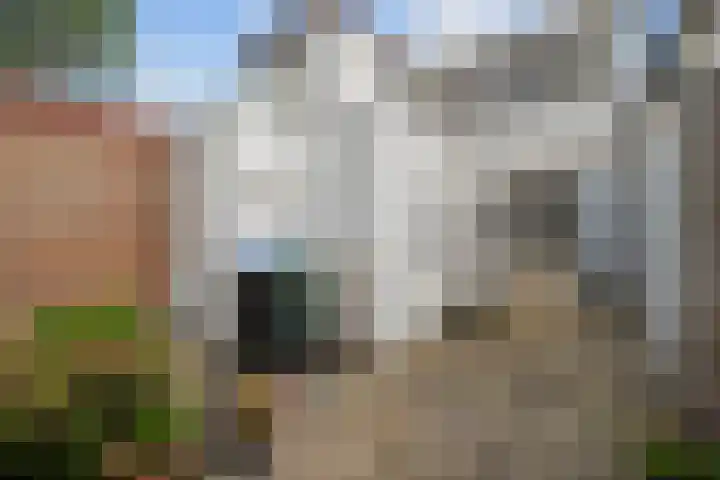 Van Galenstraat 6 Den Helder thumbnail 12