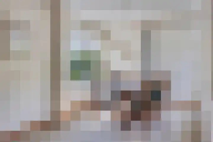 Van Galenstraat 6 Ede thumbnail 8