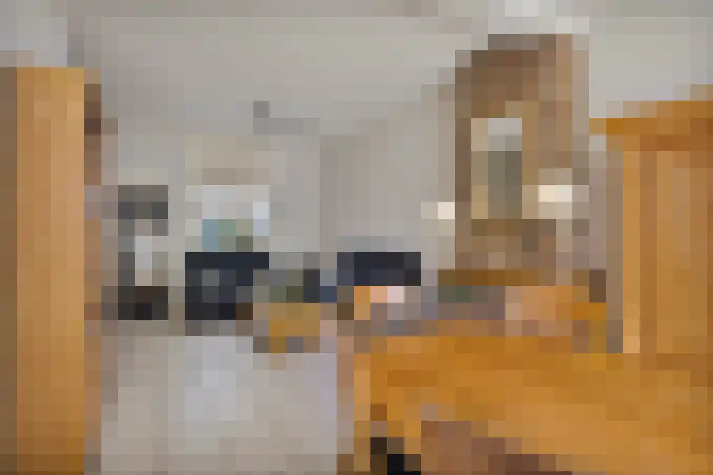 Van Galenstraat 66 Den Helder thumbnail 4