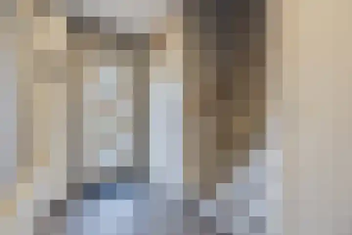 van Galenstraat 8 Dinteloord thumbnail 10