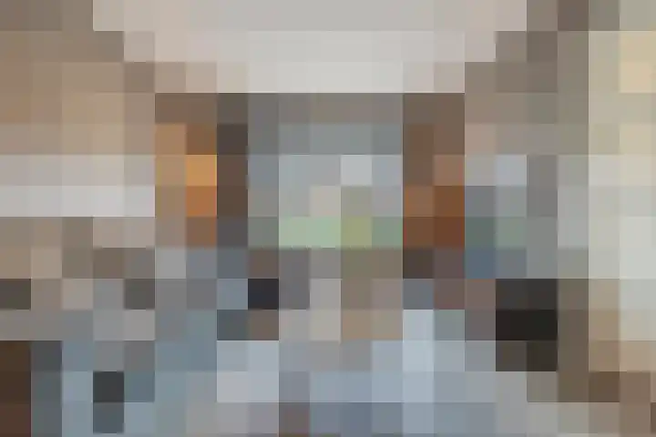 van Galenstraat 8 Dinteloord thumbnail 12